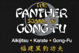 blackpanthergongfu.com